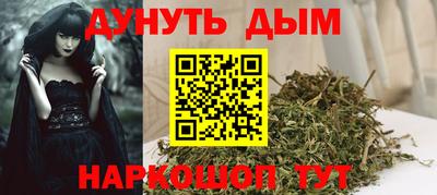 шишки Брянск