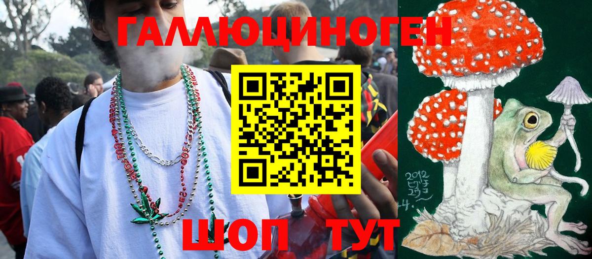 Псилоцибиновые грибы MAGIC MUSHROOMS Топки